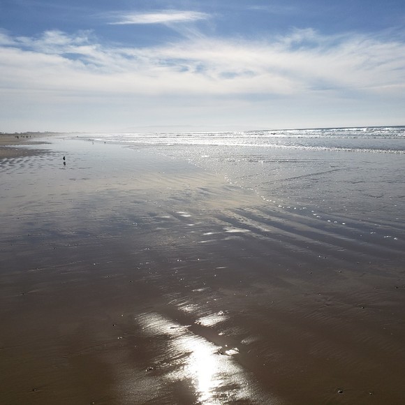 Meet your Posher, Sue - Picture 1 of 1